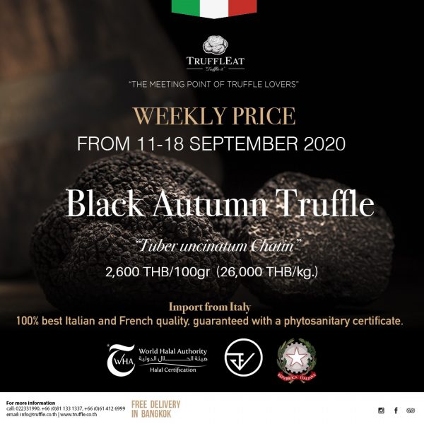Truffleat-black summer-truffle